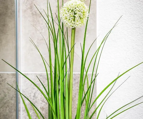 Frauensee Apartmán *